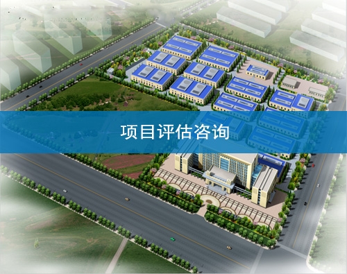 甘肅項目評估咨詢