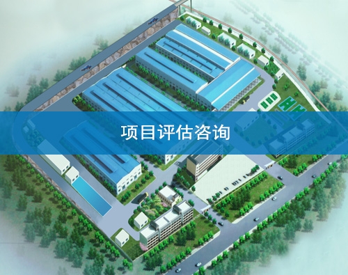 白銀項目評估咨詢